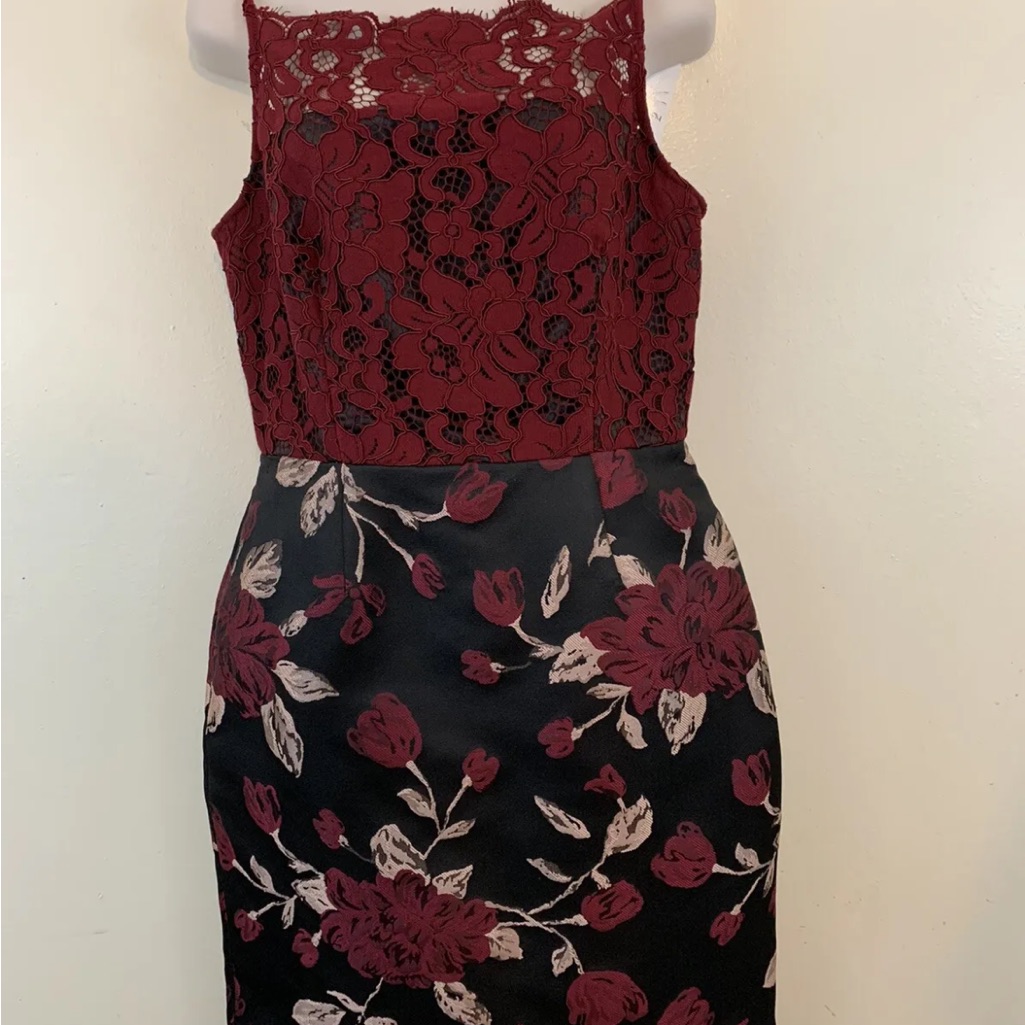 Anthropologie Fabina Sleeveless Lace Tapestry Dress By Hutch Size 4 Mrp $242